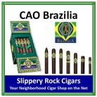 CAO Brazilia Amazon