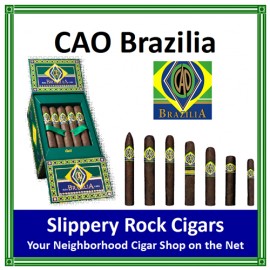 CAO Brazilia Corcovado