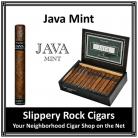 Java Mint Robusto 