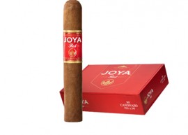 Joya Red Short Churchill